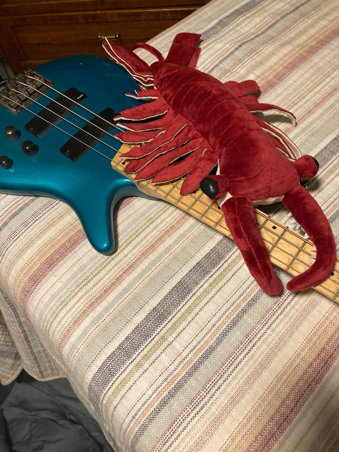 Customer photo review of Anomalocaris Arthropod Soft Stuffed Plush Toy
