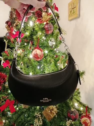 Customer photo review of Payton Hobo Bag (Silver/Black)