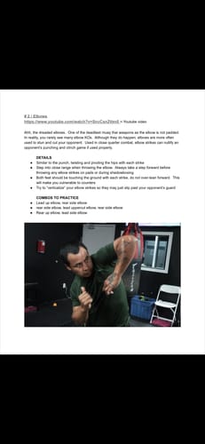 Customer photo review of FREE MUAY THAI BASICS E-BOOK