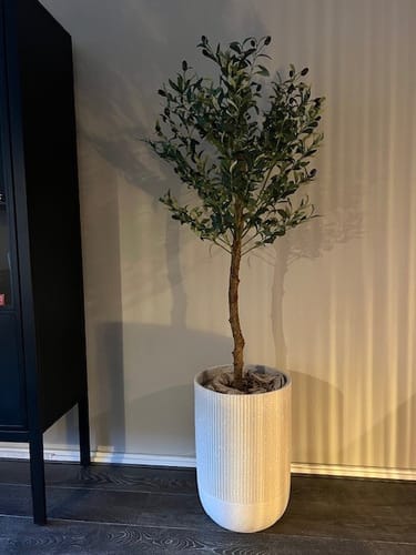 Customer photo review of Kunst Olijfboom 130cm