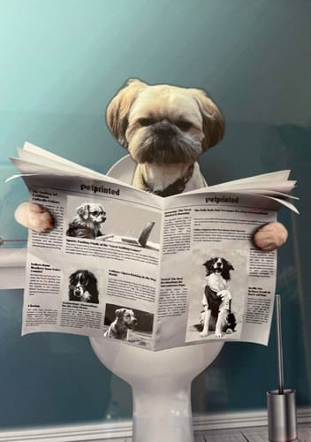 Customer photo review of Important meeting- Personalized poster