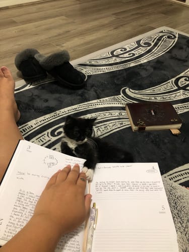 Customer photo review of 2025 Daily Diary