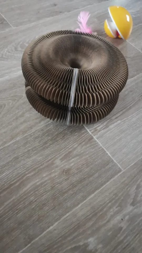 Customer photo review of Magic Cat Scratch Organ Board Cat Toy with Ball Cat Grinding Claw Cat Climbing Frame Kitten Round Corrugated Cat Scratching Toy