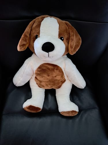 Customer photo review of Lotgenootje Hond 2kg