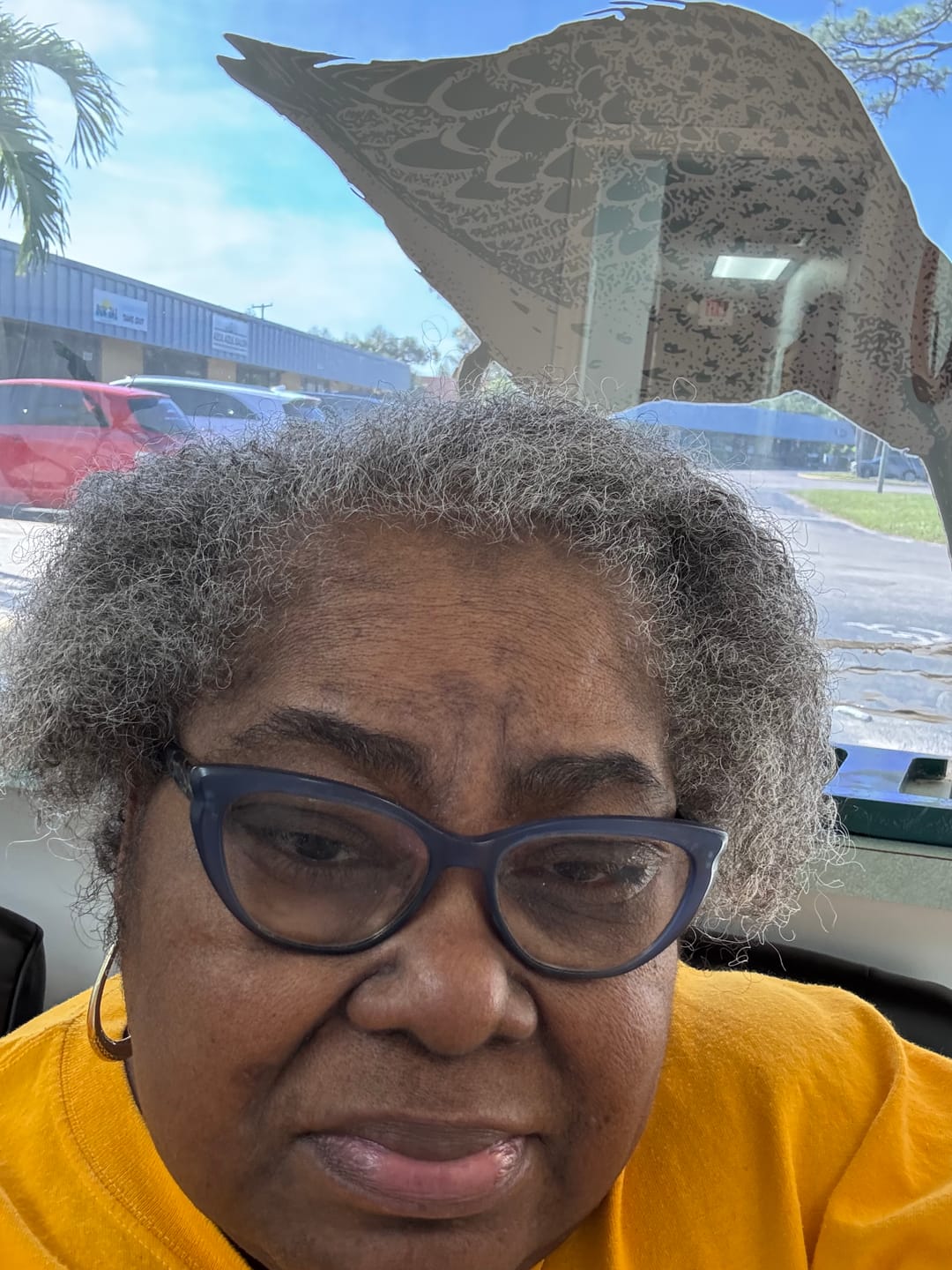 Customer photo review of Leave In Conditioner - Honey Hydration
