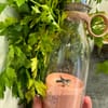 Customer photo review of Fresh Juice - Bærbar Blender