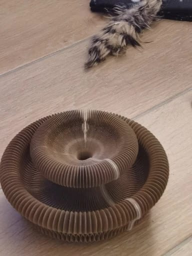 Customer photo review of Magic Cat Scratch Organ Board Cat Toy with Ball Cat Grinding Claw Cat Climbing Frame Kitten Round Corrugated Cat Scratching Toy
