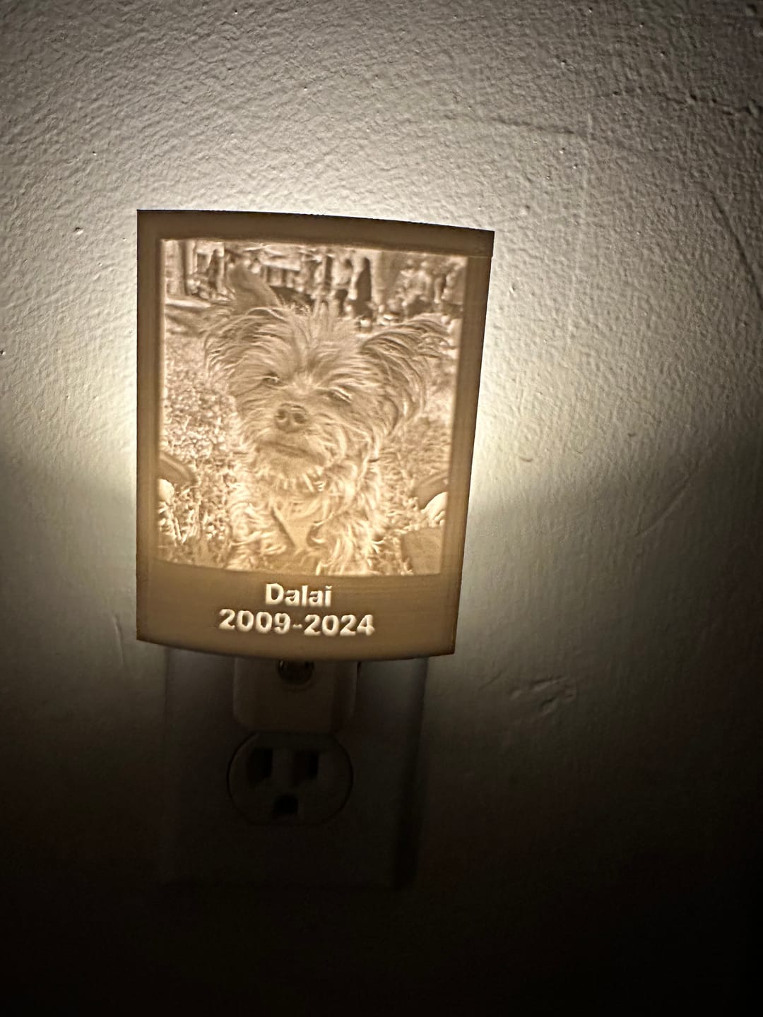 Customer photo review of Memory Frame™ Personalized Night Light