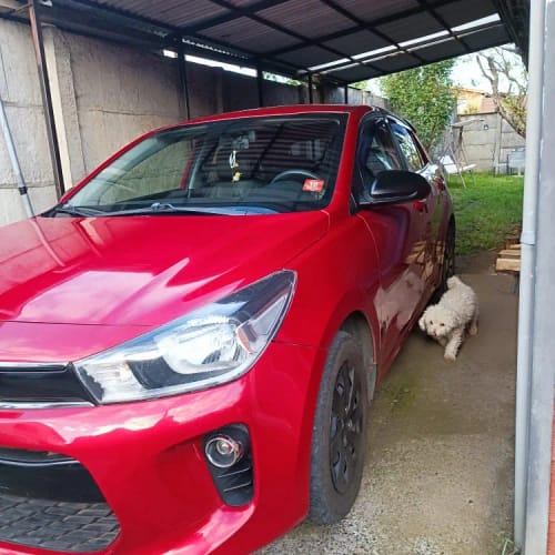 Customer photo review of Limlex® Platinum Car Care Set