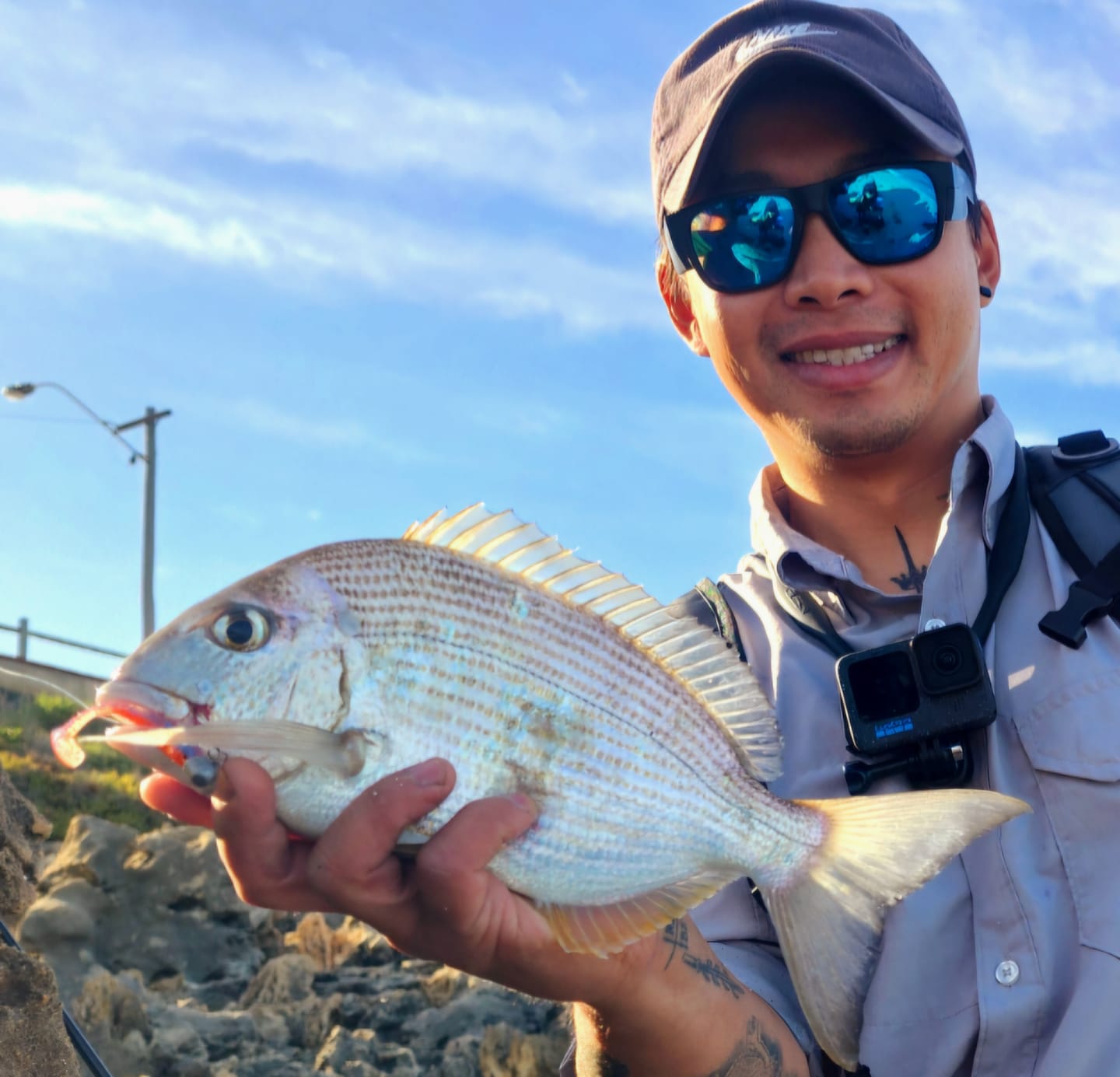 Customer photo review of VALUE BUNDLE (GUPPIE SHAD)