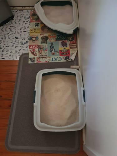 Customer photo review of 3 Month Supply - 2 Cats