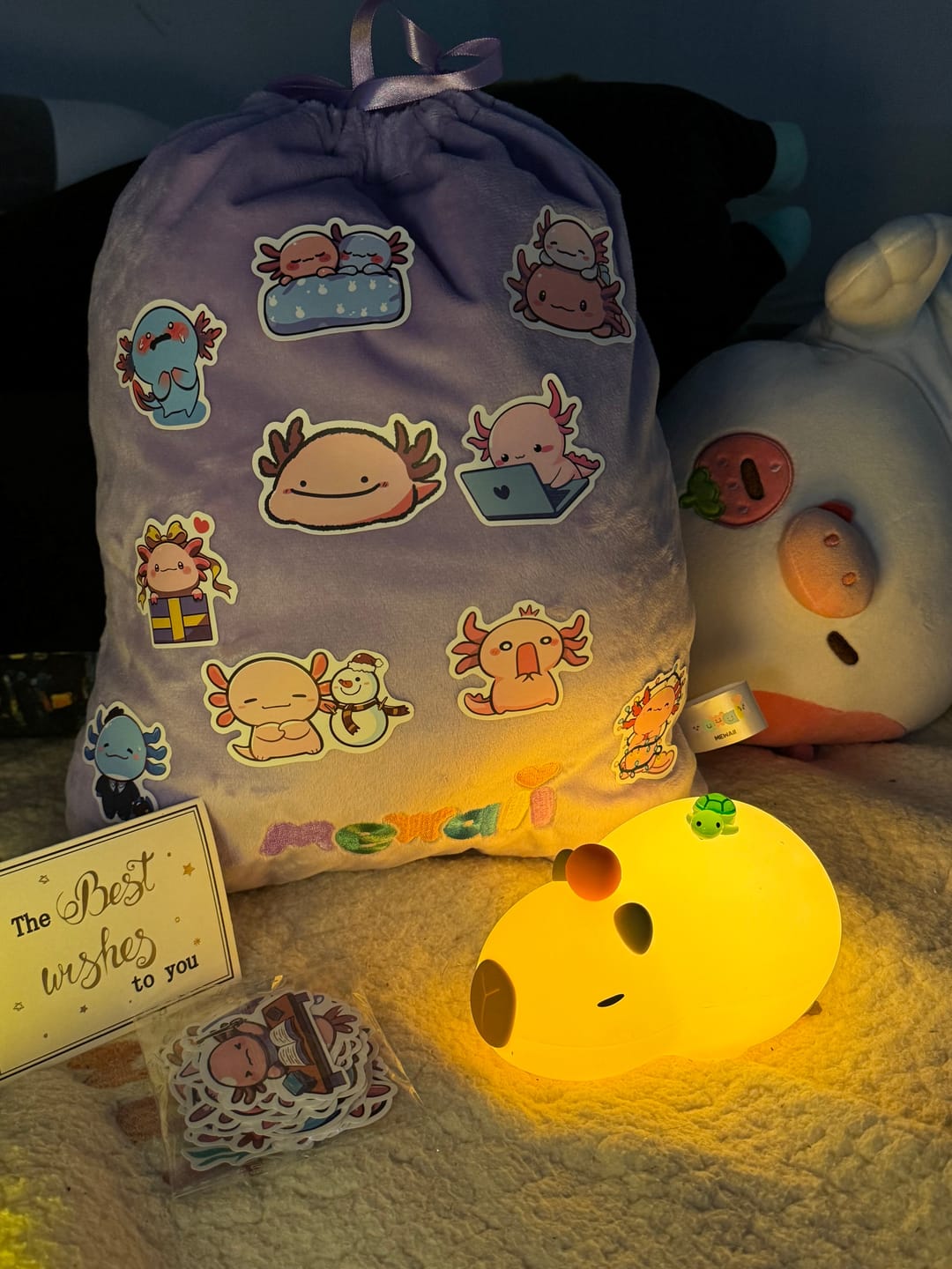 Customer photo review of MeWaii® Capybara Squishy Night Light - Perfect Gift 🎁