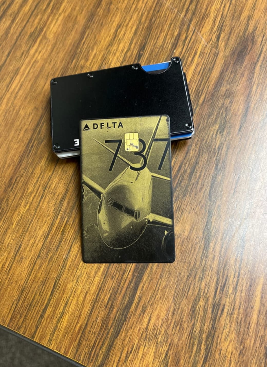 Customer photo review of Lion-Card