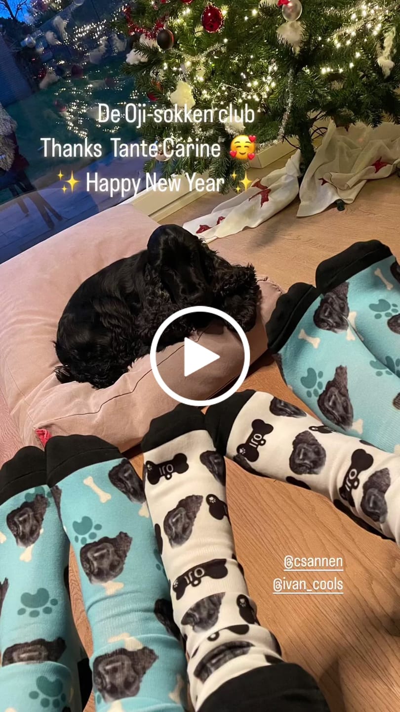 Customer video review of FaceSock® | Custom Honden Sokken Met Foto