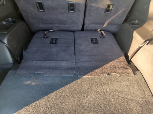 Customer photo review of Carpet Cleaner - Gallon