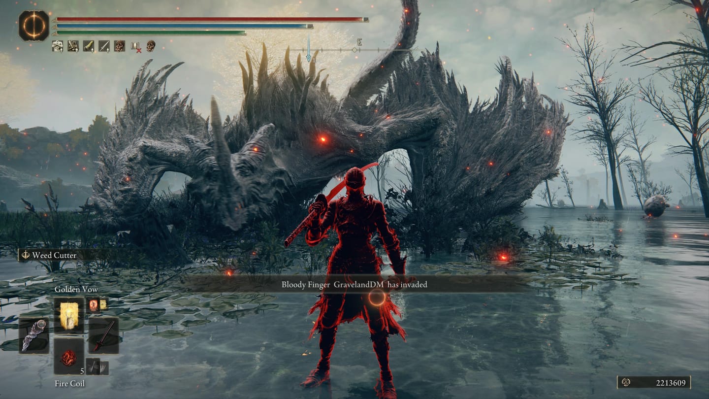 Customer photo review of Dark Souls 3 Items & Souls