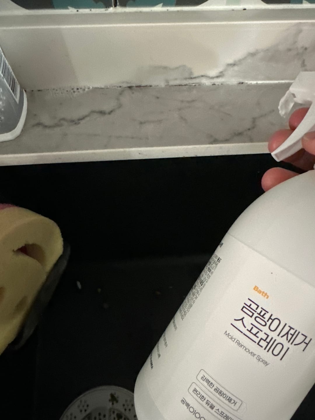 Customer photo review of Mold Remover Spray