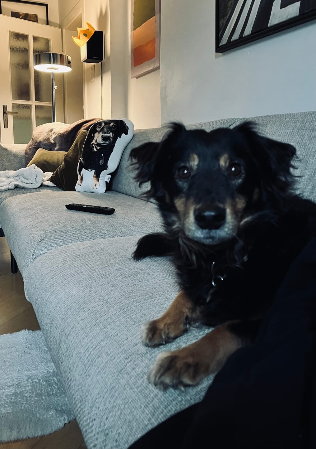 Customer photo review of Personalisiertes Hundekissen