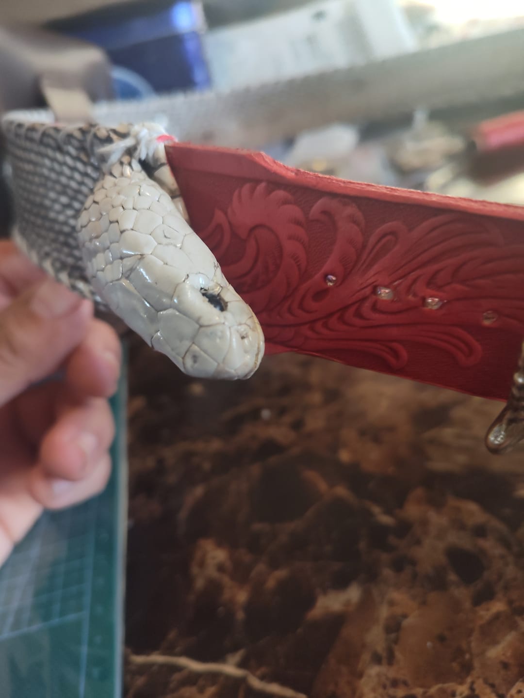 Customer photo review of Head-On Cobra Hide