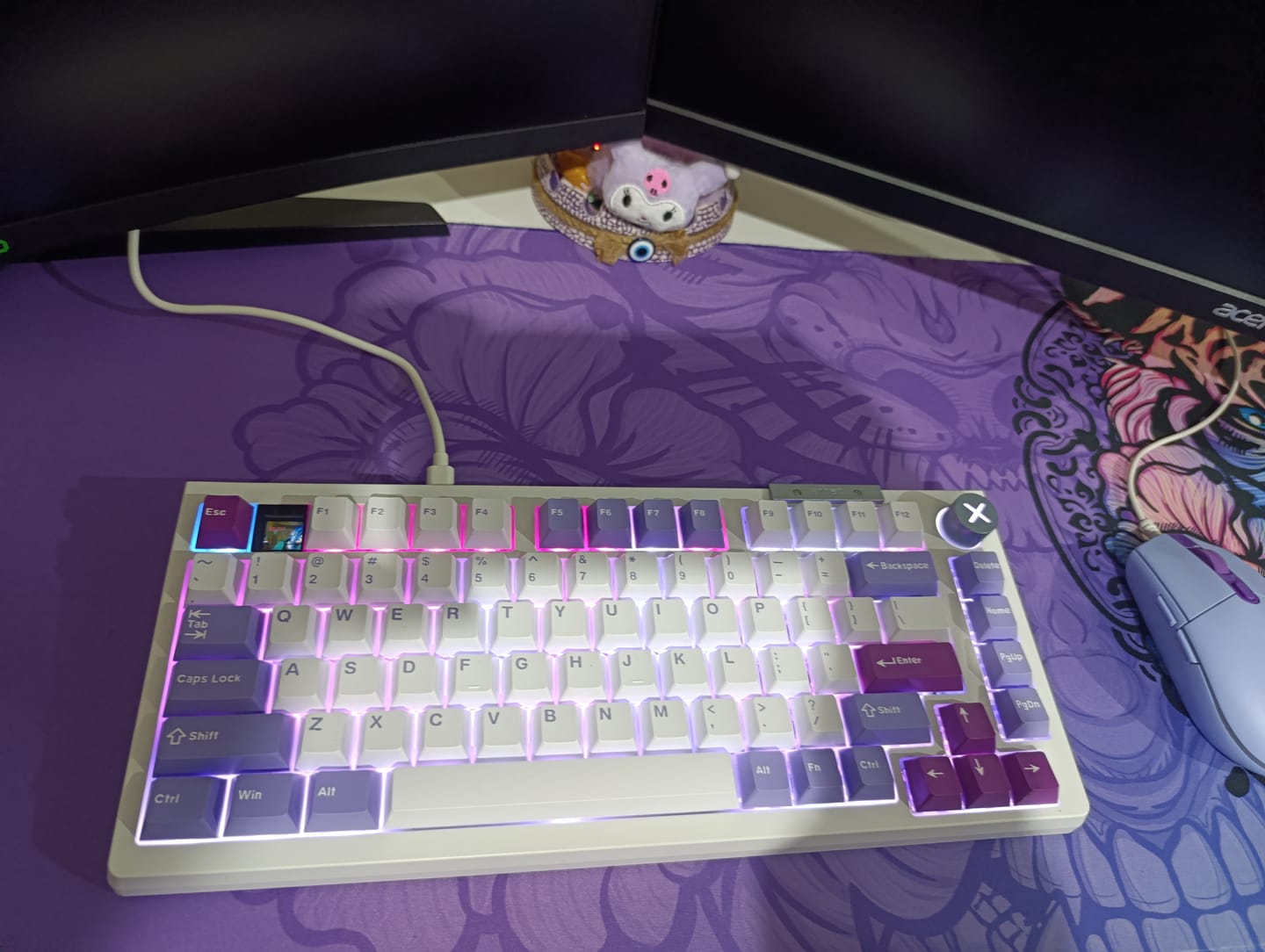 Customer photo review of Darmoshark Top75 Mekanik Klavye