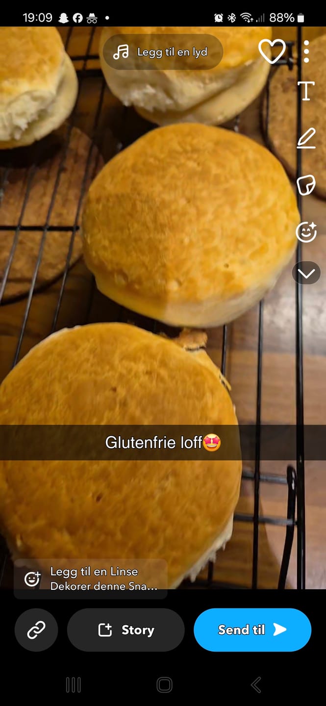 Customer photo review of Flexiform burgerbrød, store