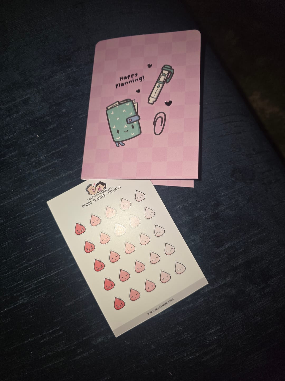 Customer photo review of Period Tracker Planner Stickers - No days