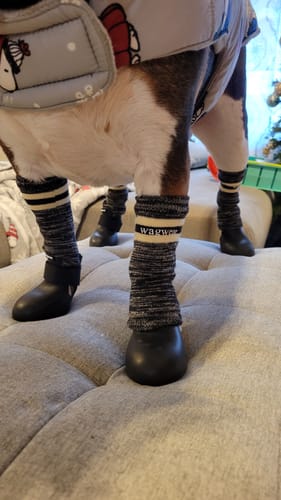 Customer photo review of WagWellies® by wagwear