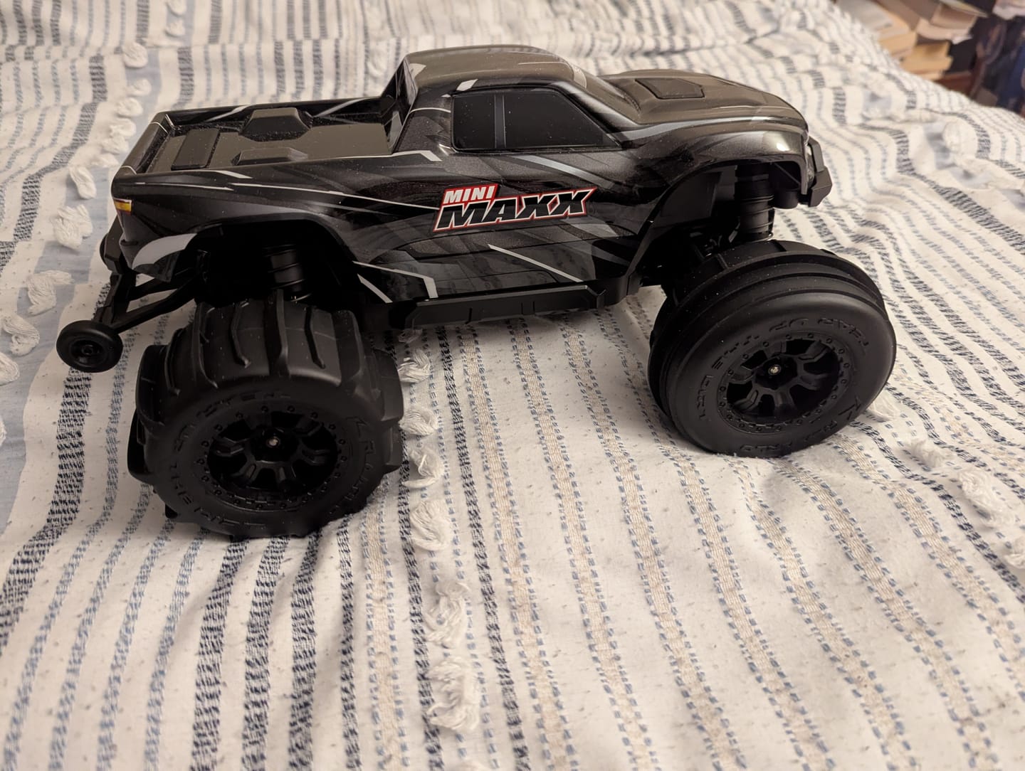 Customer photo review of RC Paddle Tires For RZ001