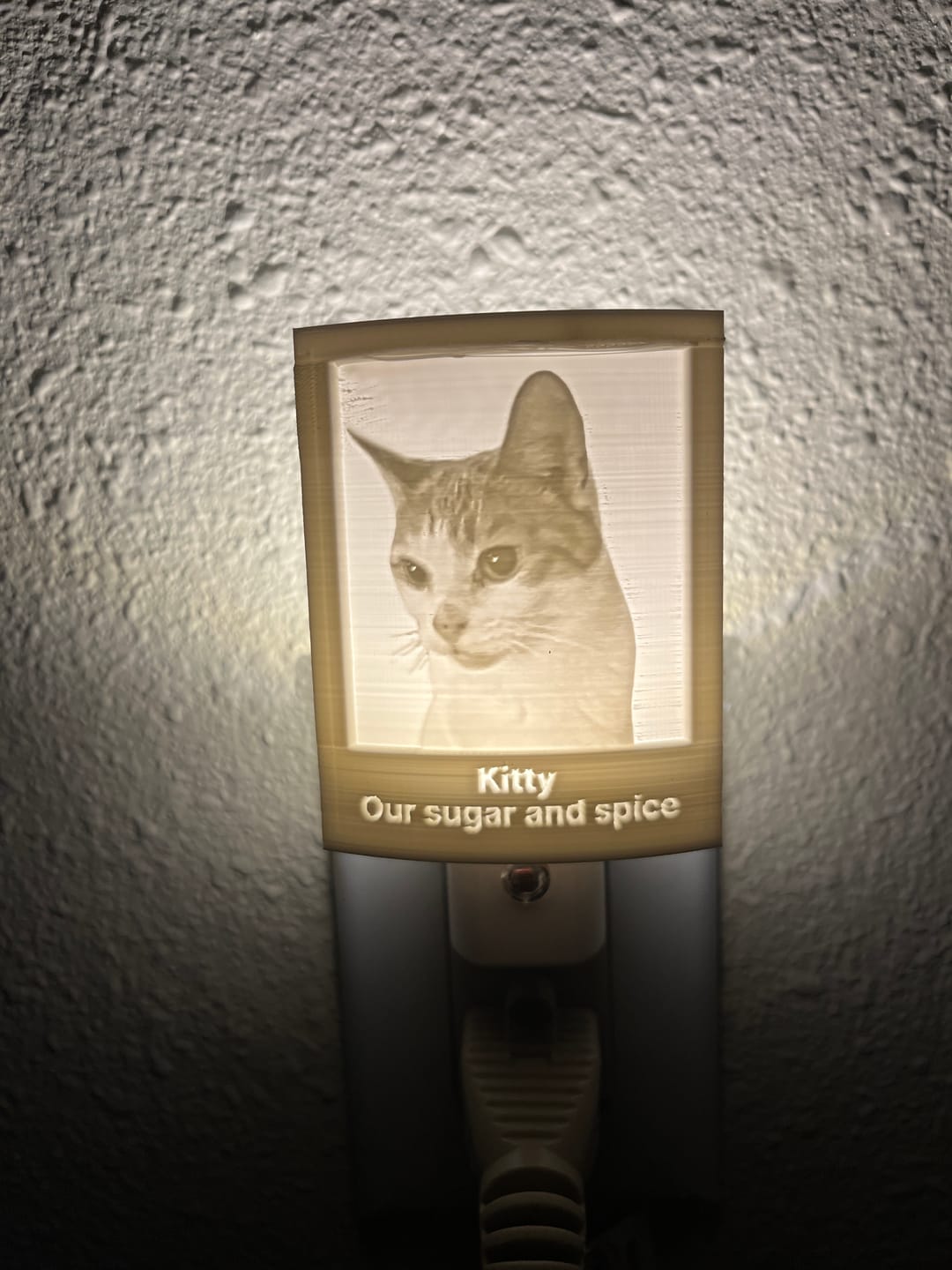 Customer photo review of Memory Frame™ Personalized Night Light