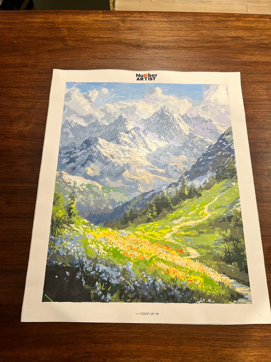 Customer photo review of Mountain Path