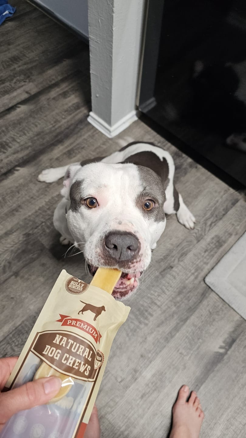 Customer photo review of Himalayan Yak Chew (EXTRA LARGE)