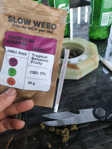 Customer photo review of Tropical Dream - Outdoor - Small Buds