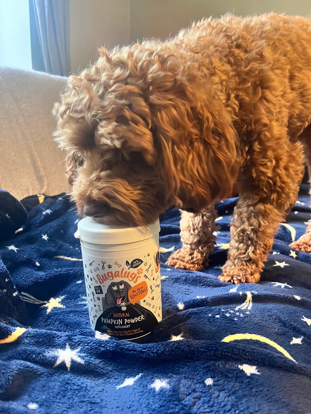 Customer photo review of Pumpkin Powder Supplement for Dogs (200g)