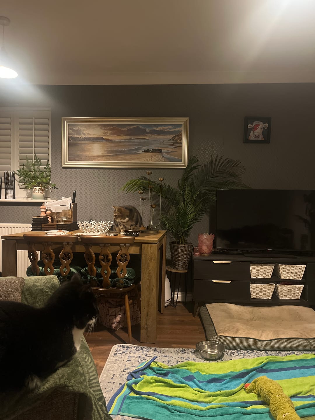 Customer photo review of Walking The Dog At Dusk By Duncan Palmar