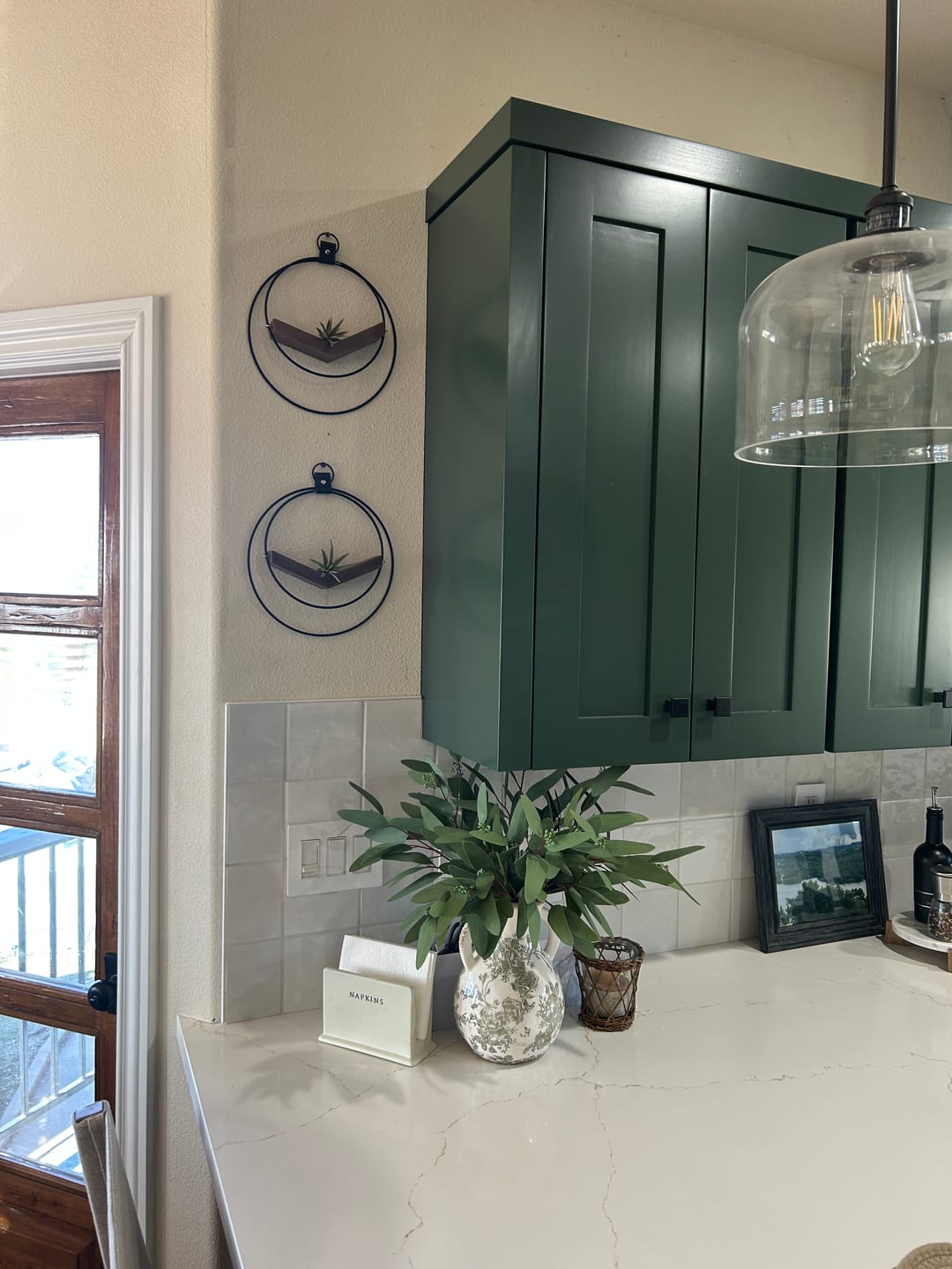 Customer photo review of Air Plant V-Hanger Duo