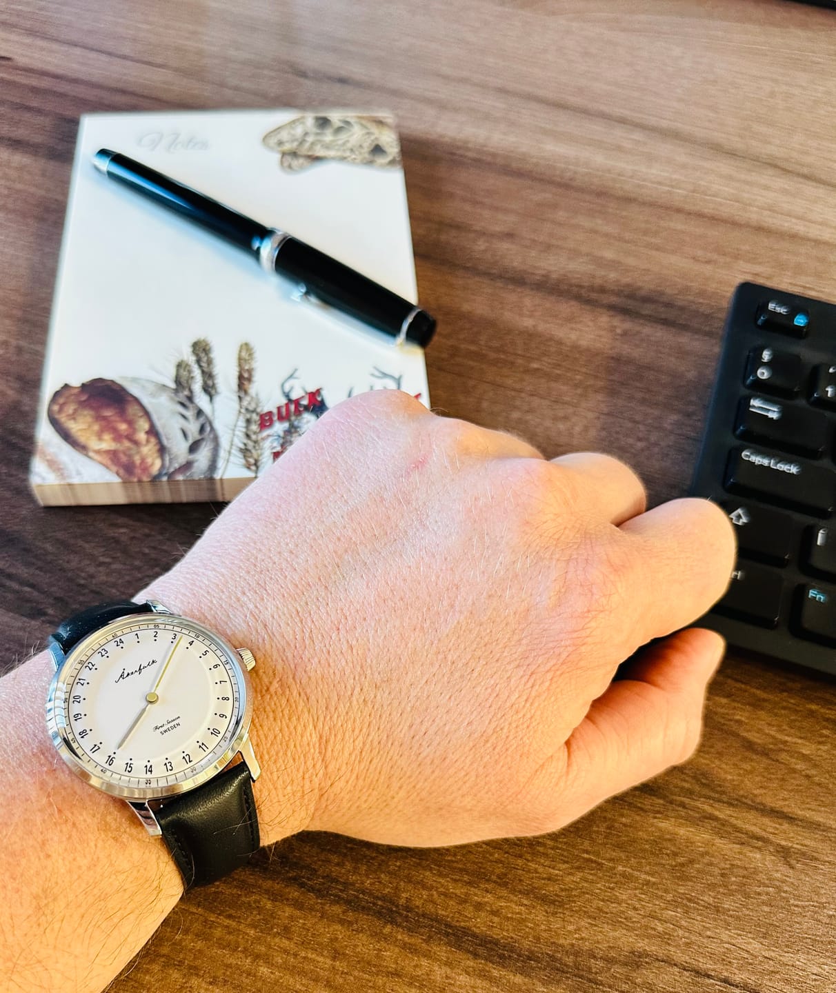 Customer photo review of First Season Silver White with Black Leather