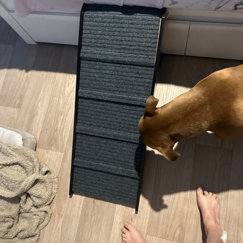 Customer photo review of PaWz Adjustable Dog Ramp