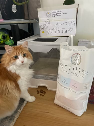 Customer photo review of 1 Month Supply – 1 Cat