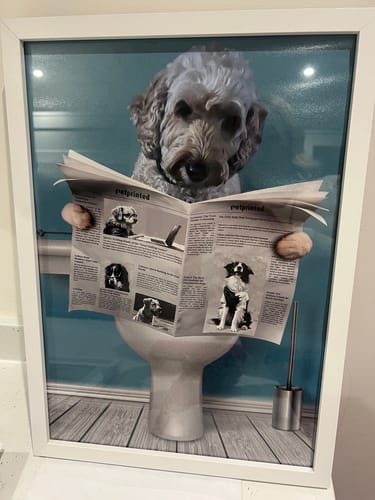 Customer photo review of Important meeting - Personalised poster