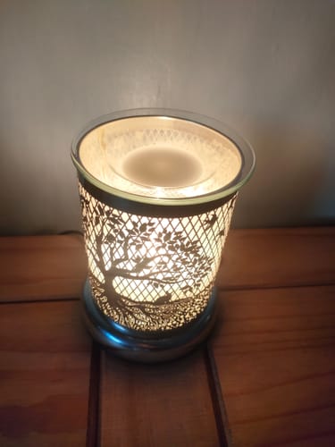 Customer photo review of Solaris Blanc Wax Melt