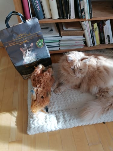 undefined review of Naturreines Katzenstreu image 1 out of 2