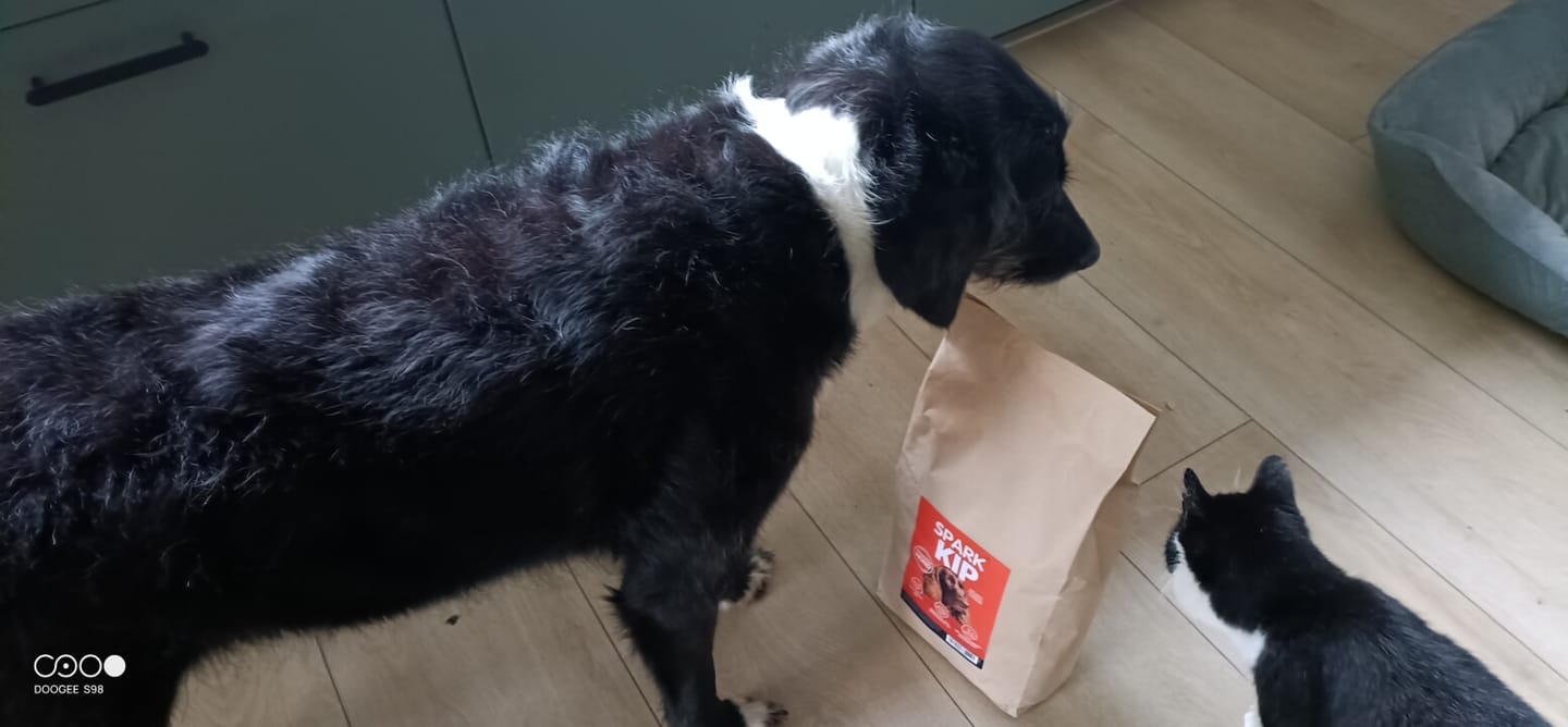 Customer photo review of Volwassen - Kip met Zoete Aardappel & Kruiden