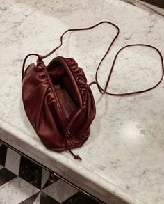 Customer photo review of Bellina Pouch
