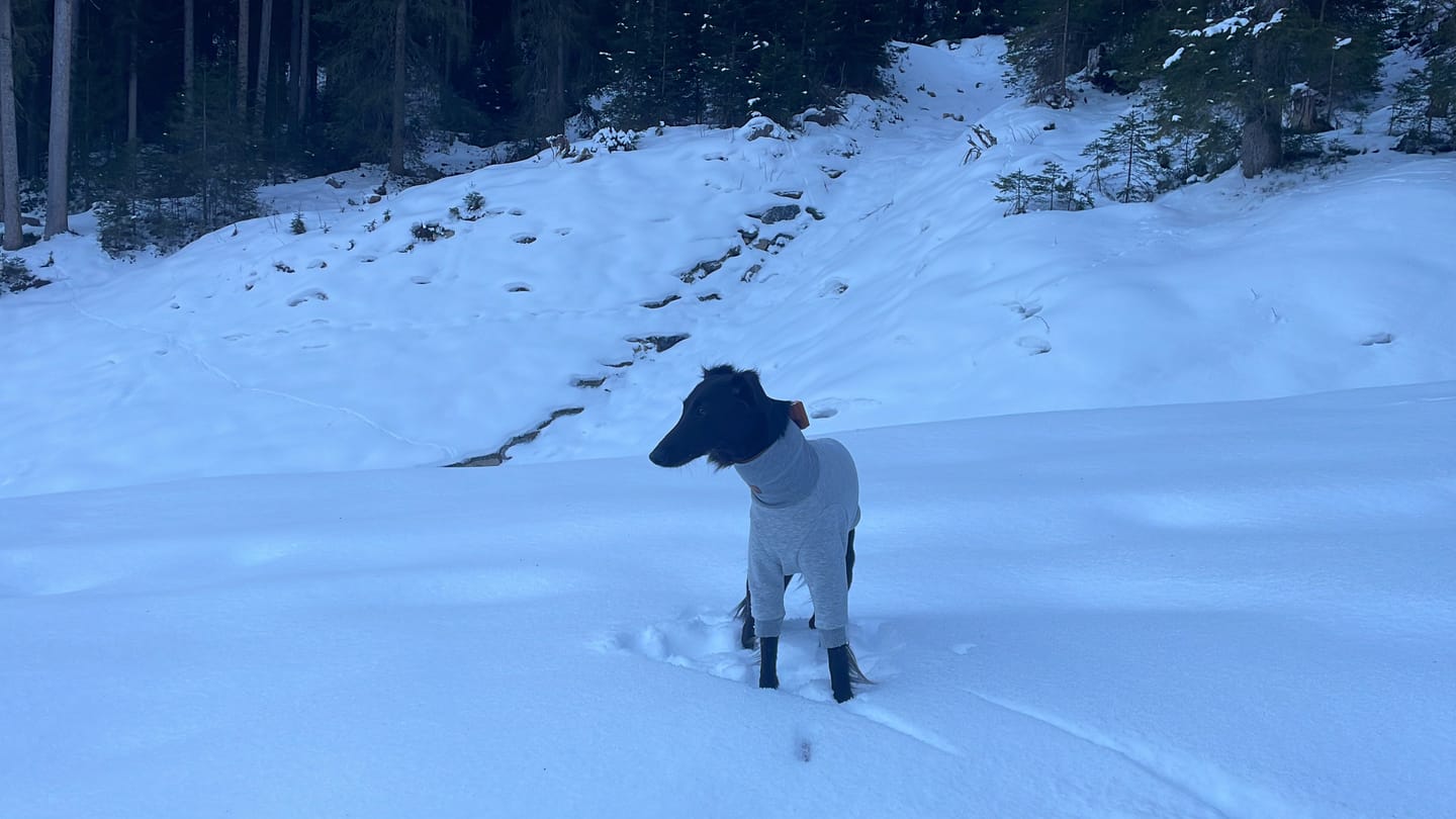 Customer photo review of Aspen "Frosty Grey"