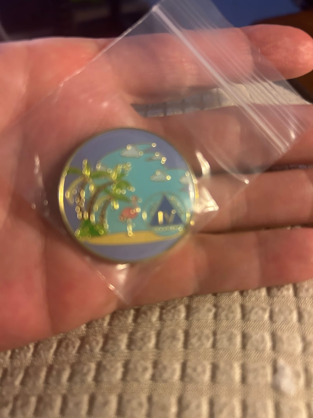 Customer photo review of 4 Year Beach Themed Specialty Tri-Plated AA Recovery Medallion - Four Year Chip/Coin