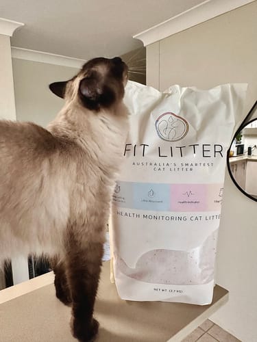 Customer photo review of 3 Month Supply - 2 Cats
