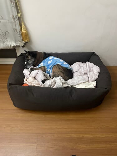 Customer photo review of AIWO艾窩 靜電滾筒黏毛器 靜電除毛刷 衣物黏毛器 床除塵刷