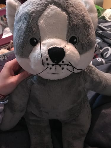 Customer photo review of Lotgenootje Kat 2kg