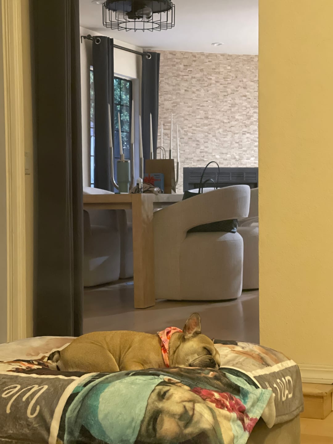 Customer photo review of Amorgos Fine Velvet Bedding Set