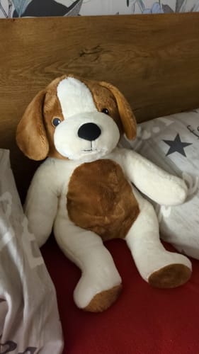 Customer photo review of Lotgenootje Hond 2kg